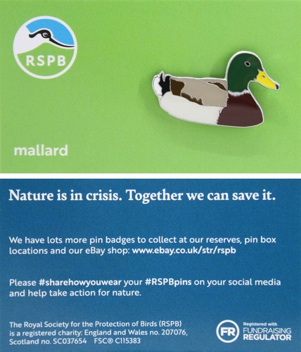 Rspb pin badge niic - rspb,
