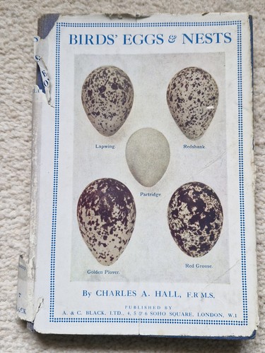 Birds eggs nests by charles - nests,