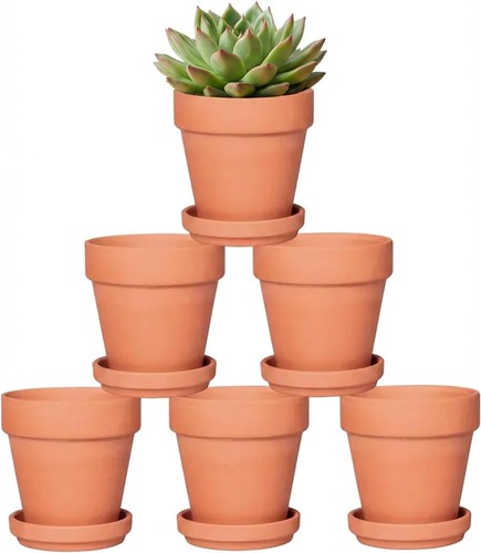 2cm terracotta plant pots - terracotta,