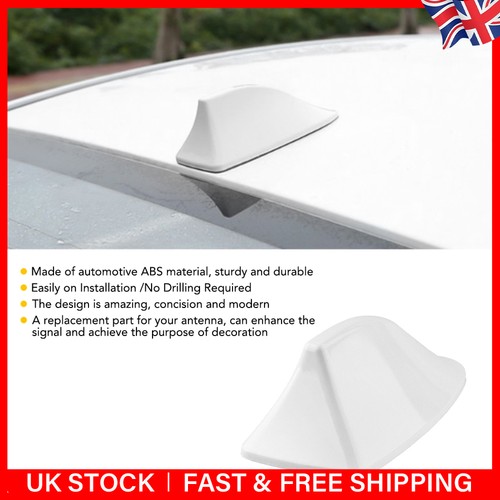 Universal white car - car, shark