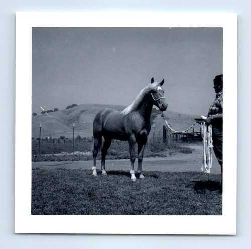 Old vintage square photo - old,