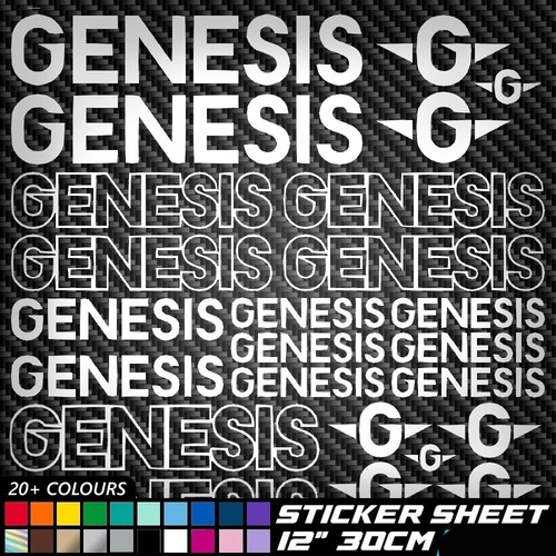 24x genesis vinyl - 24x, decal