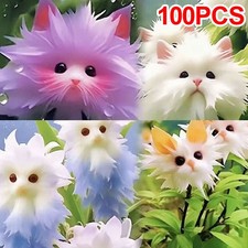 UK 1Pack 100/150 /200 Rare cat Face Orchid Seeds Dracula Cute Simia Garden Plant