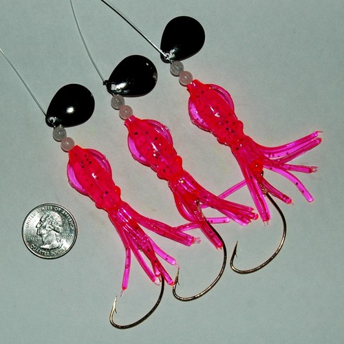 Best fluke flounder squid - best,