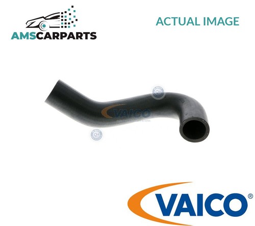 Radiator hose lower v10 0055 - radiator,
