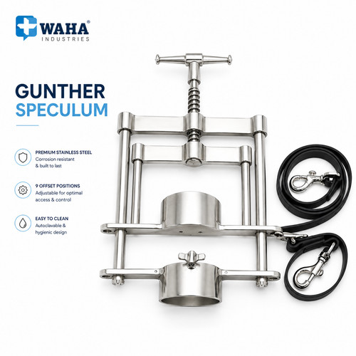 Offset gunther mouth - offset,