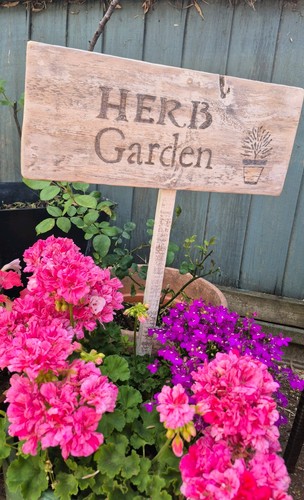 Wooden herb garden sign - herb,
