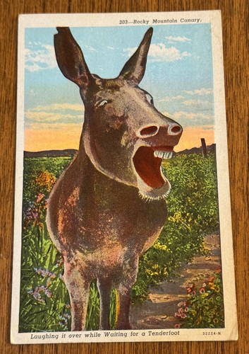 Vintage funny used - vintage,