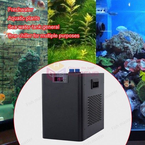 160l 300l 500l aquarium - 300l,