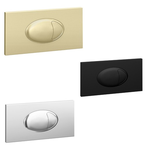 Dual flush plate push button - flush,