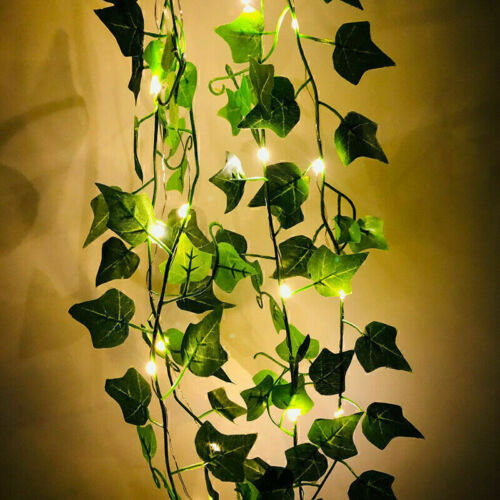 Ivy leaves 10m led - led, fairy