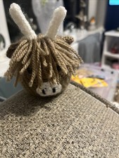 Highland  cow, Terrys