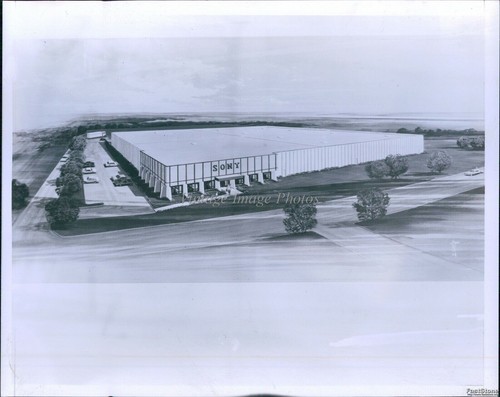 1978 artist view - view, of