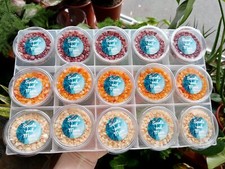 Scented Simmering Granules