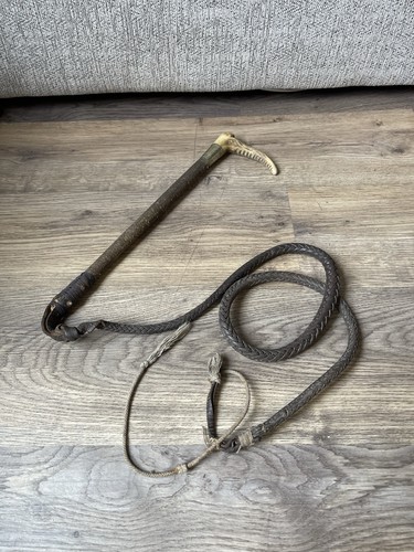 Antique vintage stag - antique/vintage, horn