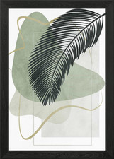 beautiful colorful botanic