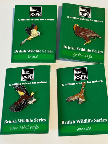 Rspb pin badge - rspb, on