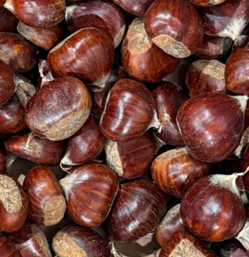 2kg fresh whole chestnuts - whole,