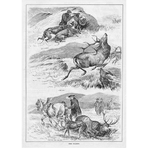 Deer stalking antique print - deer,