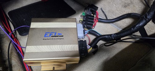 Efi source ms3 gold - efi,