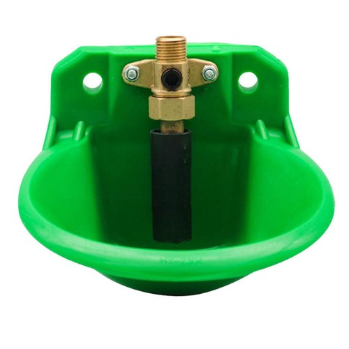 Sheep drinking bowl feeder - drinking,