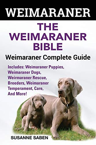 Weimaraner the weimaranar - the,
