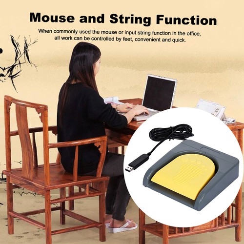 Fs2016 usb foot pedal - foot,
