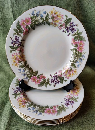 Vintage paragon fine bone - paragon,