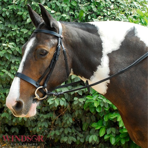 Leather hunter bridle with - hunter,
