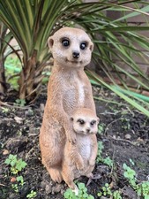 Vivid Arts Meerkat Garden