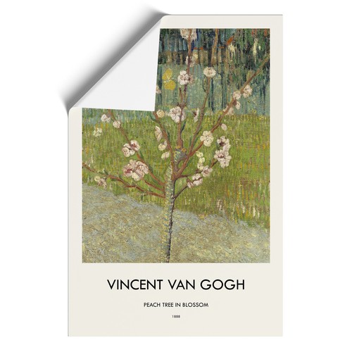 Peach tree blossom - peach,
