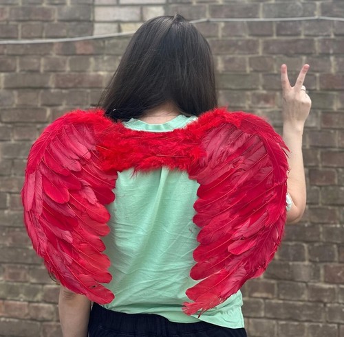 Red fairy angel wings - red,