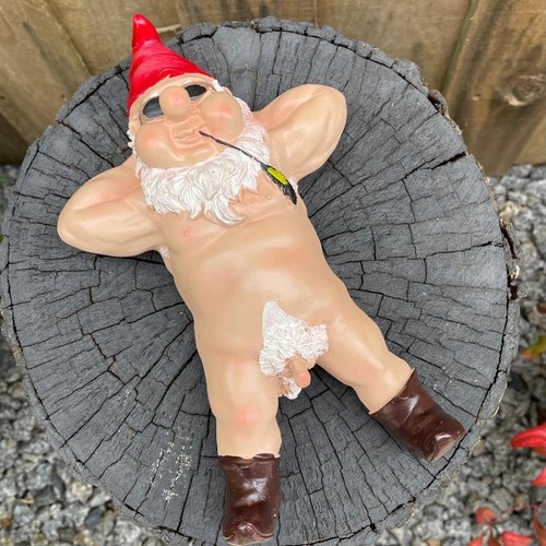 Naughty garden gnome statue - naughty,