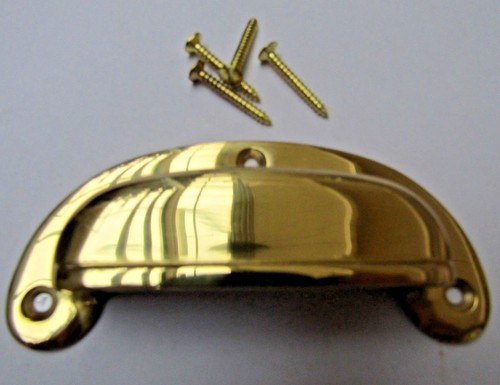 Round lipped cup shell - lipped,