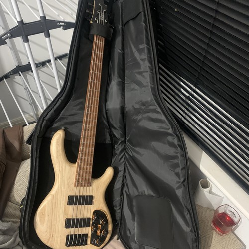 Cort action dlx electric - v,