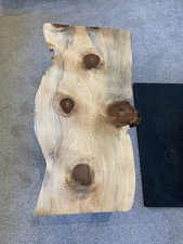 Solid wood Monkey Puzzle Tree