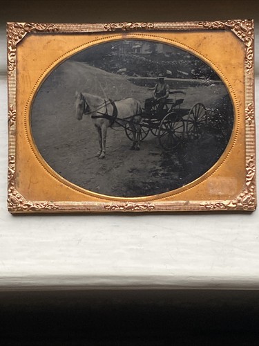 Antique photograph horse buggy - photograph,