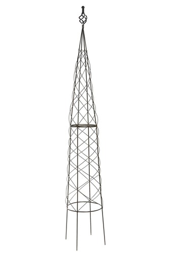 Plant climbing obelisk - climbing,