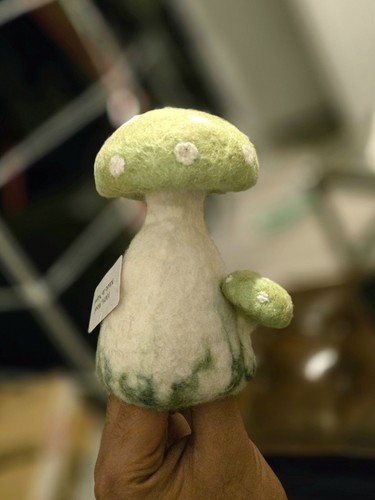 Handmade felted mushroom egg - felted,