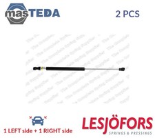 8192541 TAILGATE BOOT STRUTS