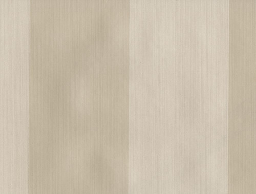 Wilman interiors camellia - wilman,