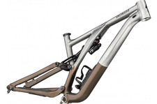 Frame Pivot Bearing Kit |