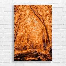Enchanting Cherry Blossom Tunnel Orange Canvas Print Large Picture Wall Art