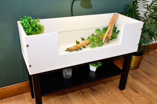 3ft open top - top, tortoise