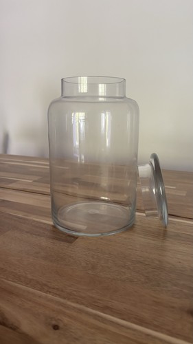 Large glass terrarium - large,