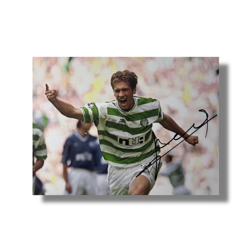 Signed petrov celtic 8x6 - petrov, 8x6”