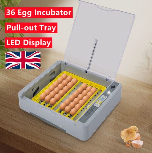 Egg incubator automatic - 36,