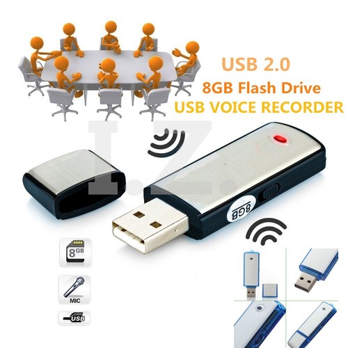 8gb digital voice audio - digital,