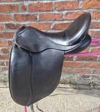 Lavinia Mitchell dressage