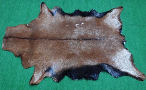 Luxury goat hide rug - goat, on